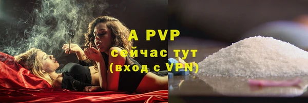 прущие грибы Нягань
