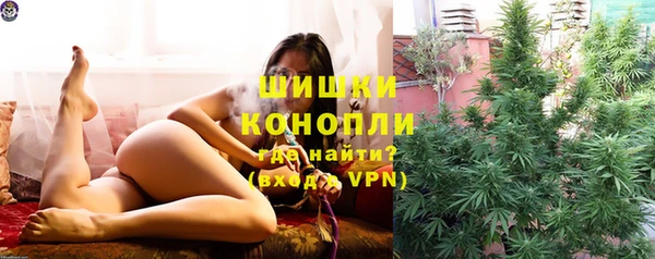 прущие грибы Нягань