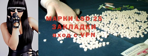 прущие грибы Нягань