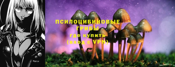стафф Нязепетровск