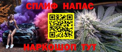 ГАЛЛЮЦИНОГЕННЫЕ ГРИБЫ Кингисепп