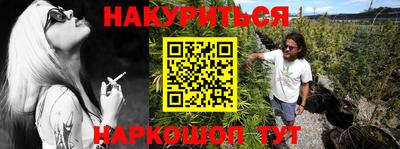 ГАЛЛЮЦИНОГЕННЫЕ ГРИБЫ Кингисепп